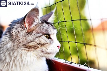Siatki Będzin - Siatka na balkony dla kota i zabezpieczenie dzieci dla terenów Będzina