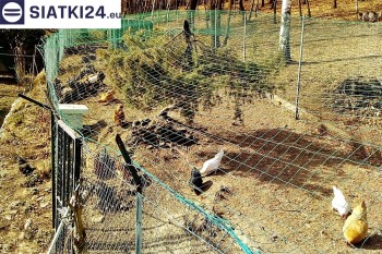 Siatki Będzin - Siatka na woliery - zabezpieczenia ptaków w hodowli dla terenów Będzina